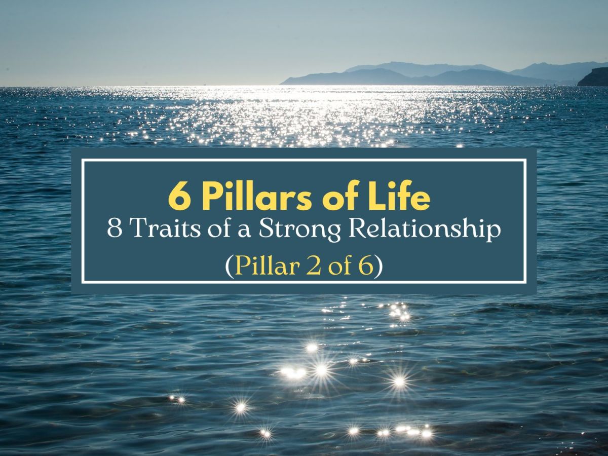 6 Pillars of Life: